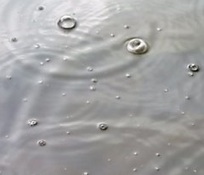 Regen_nass.jpg