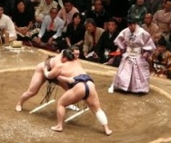 Sumo.jpg