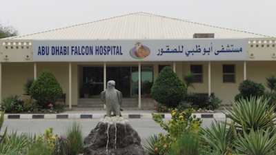 http://www.fragdienachbarn.org/bilder2011/Falken_Krankenhaus_Abu_Dhabi.jpg